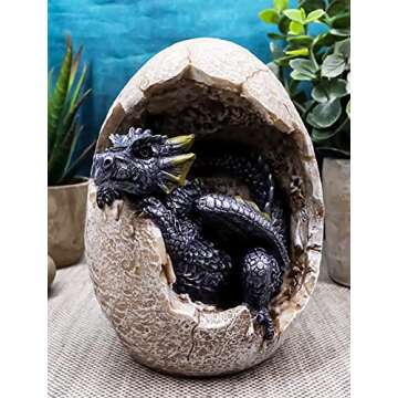 Ebros Gift Fossil Raeon Sunlight Dragon Hatchling Breaking Out of Egg Shell Decorative Figurine 5" H...