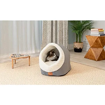 Miss Meow Cat Bed for Cozy Indoor Comfort