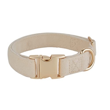 Petiry Soft Corduroy Dog Collar Rose Gold Buckle Medium