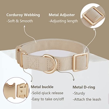 Petiry Soft Corduroy Dog Collar Rose Gold Buckle Medium