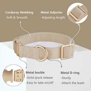 Petiry Soft Corduroy Dog Collar Rose Gold Buckle Medium
