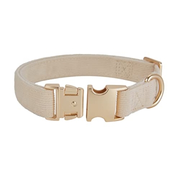 Petiry Soft Corduroy Dog Collar Rose Gold Buckle Medium