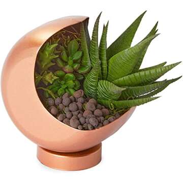 Hydroponic Clay Pebbles for Gardening, Leca Balls (Brown, 3 Sizes, 3 Lbs)