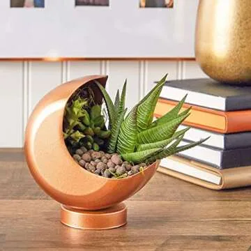 Hydroponic Clay Pebbles for Gardening, Leca Balls (Brown, 3 Sizes, 3 Lbs)