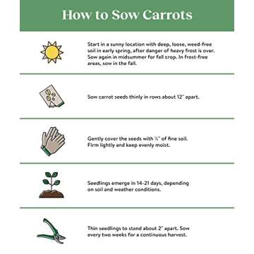 Burpee Kaleidoscope Blend Carrot Seeds | 1500 Non-GMO Seeds | Rainbow Carrot Seeds for Planting | Ve...