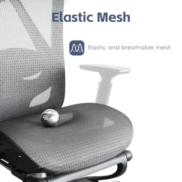 Ergonomic Office Chair, SGS Certified Gas Cylinder