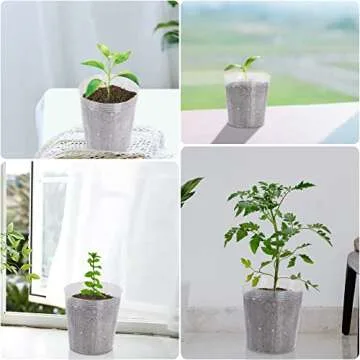 UPINS Clear Nursery Pots 40 Pack for Seedlings & Gardening