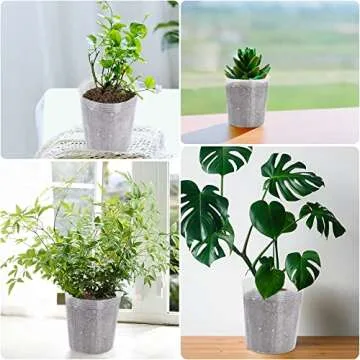 UPINS Clear Nursery Pots 40 Pack for Seedlings & Gardening