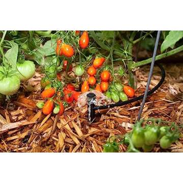 Rain Bird MUF-SPK4S Drip Irrigation Micro-Umbrella Bubbler on Stake, 360° Full Circle Pattern, 0 - 3' Spray Distance, 4-Pack