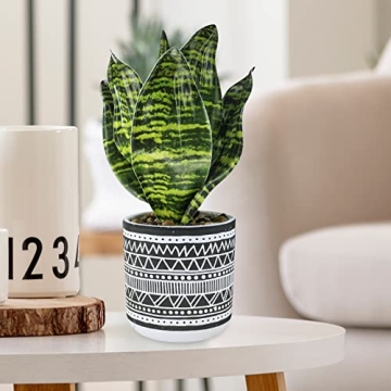 Winlyn 3 Pcs Faux Potted Plants for Modern Decor