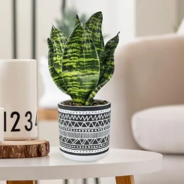 Winlyn 3 Pcs Faux Potted Plants for Modern Decor