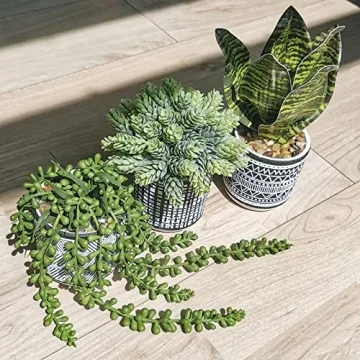 Winlyn 3 Pcs Faux Potted Plants for Modern Decor