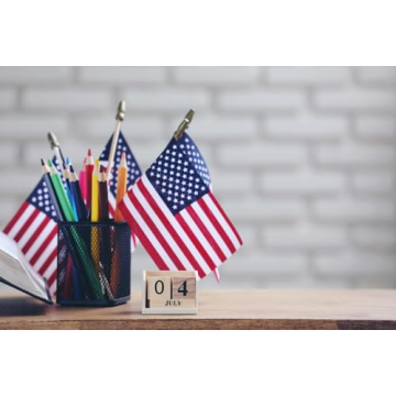 GIFTEXPRESS Set of 12 Small American Stick Flags