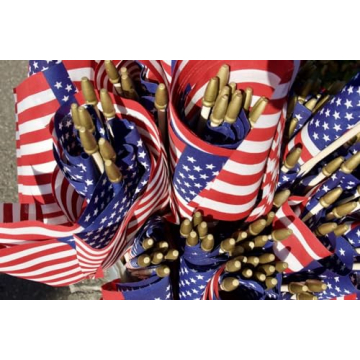 GIFTEXPRESS Set of 12 Small American Stick Flags