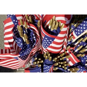 GIFTEXPRESS Set of 12 Small American Stick Flags