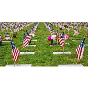GIFTEXPRESS Set of 12 Small American Stick Flags