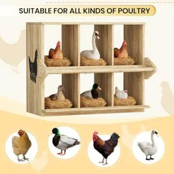 Premium Chicken Nesting Box for Happy Hens and Easy Egg Collection