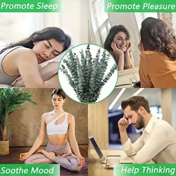 Eucalyptus Stems for Shower and Home Decor - 12 Pcs