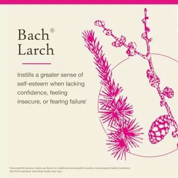 Bach Original Flower Remedies, Larch for Confidence, Natural Homeopathic Flower Essence, Holistic Wellness and Stress Relief, Vegan, 20mL Dropper
