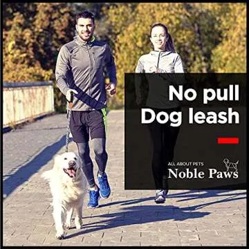 Premium Slip Lead Dog Leash for All Dog Owners