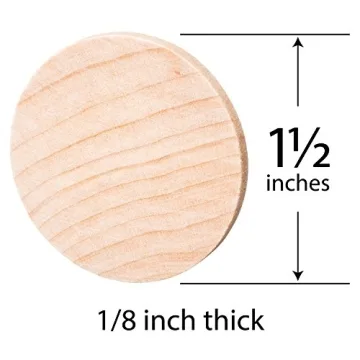 Crafty 250 Pack Unfinished Wood Circles for All Ages