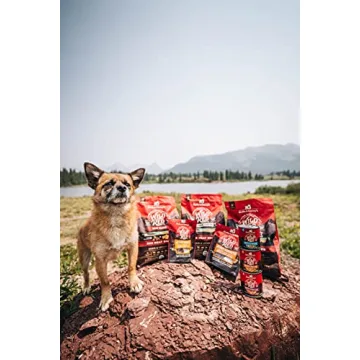 Stella & Chewy's Wild Red High Protein Dry Dog Food 21 lb.