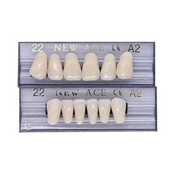 168 Pcs Dental Synthetic Resin Tooth Denture 6 Sets False Teeth 22 A2 Upper Lower Shade Dental for H...
