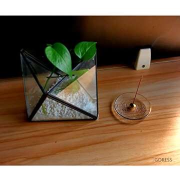 GORESS Incense Cone Burner, Modern Incense Stick Holders with Glass Ash Tray Drip Shape Holder for Meditation, Yoga Traning, Home Decor,Gift