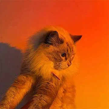 YouOKLight Sunset Lamp, Projector Sunset Light 10W LED Projection Night Light 180 Degree Rotation Romantic Rainbow Light USB Charging for Photography Party Home Living Room Bedroom Decor, Sunset Red…