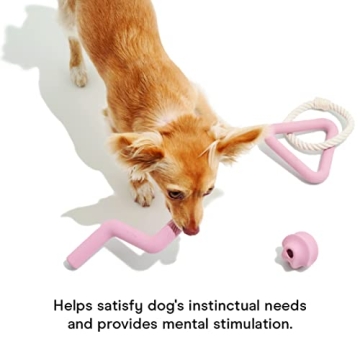 Durable Wild One Dog Toy Kit for Average Chewers