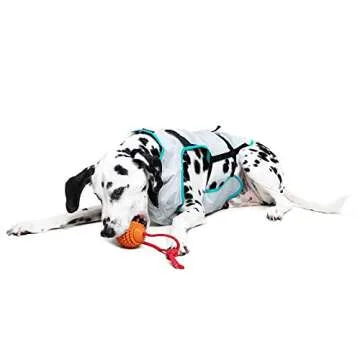 Suitical Dry Cooling Vest for Dogs | Canine Cooling Vest for Hot Weather | Dog Cool Down Jacket | Ma...