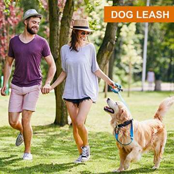 Heavy Duty Locking Carabiner Clips - 12KN Clips 3.2'' Small D Ring for Camping Hammock Hiking Dog Leashes Keys Keychains - Perfect for Outdoor Enthusiasts