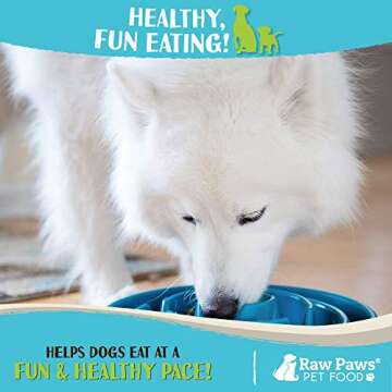 Raw Paws Slow Feeder Bowl, 1 ct - Slow Feeder Dog Bowls Large Breed to Small Breed - Slow Water Bowl for Dogs - Dog Slow Feeder Bowl for Fast Eaters - Puppy Slow Feeder Bowl - Slow Eating Dog Bowl