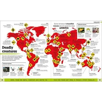 Where on Earth? A Magical Geography Exploration Book