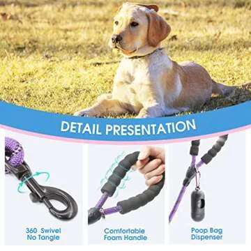BAAPET 6FT Dog Leash with Padded Handle for All Dogs