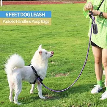 BAAPET 6FT Dog Leash with Padded Handle for All Dogs