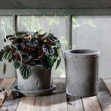 Stylish HomArt Rustic Terra Cotta Cylinder Planter Gift