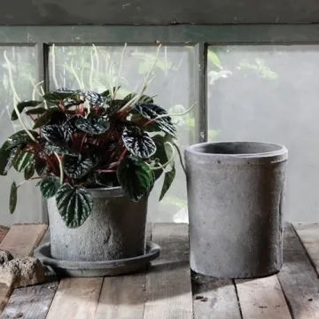 Stylish HomArt Rustic Terra Cotta Cylinder Planter Gift