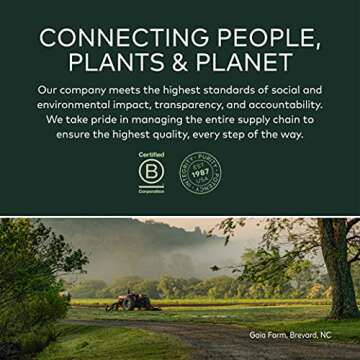 Gaia Herbs St. John's Wort Vegan Capsules for Stress Support