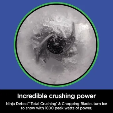 Ninja Total Crushing Blender Pro for Smoothies and More