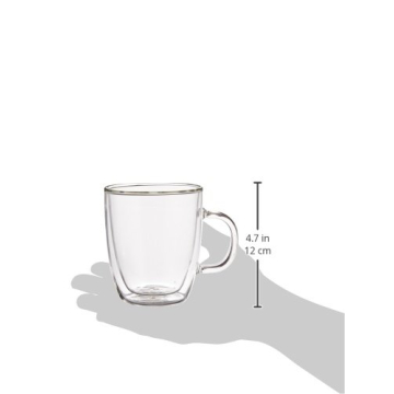 Bodum Double Wall Insulated Glass Mug Set - 10oz
