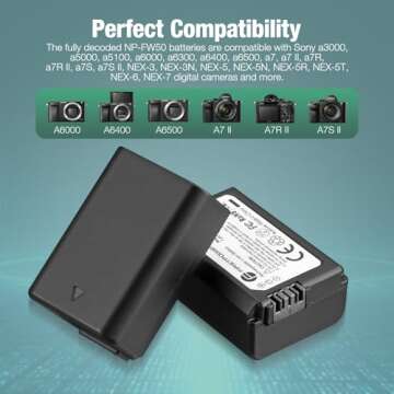 FirstPower NP-FW50 Battery Pack and USB Charger