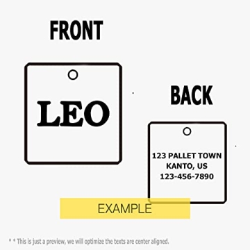 Personalized Stainless Steel ID Tags for Pets