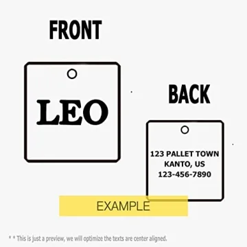 Personalized Stainless Steel ID Tags for Pets