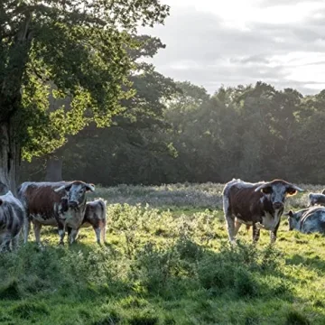 EPIC Wagyu Beef Jerky Strips - Protein Snack for All