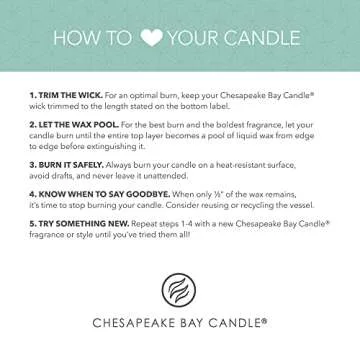Chesapeake Bay Candle PT42073 Candle, Multi-Wick Ceramic, Sheer Jasmine, Home Décor