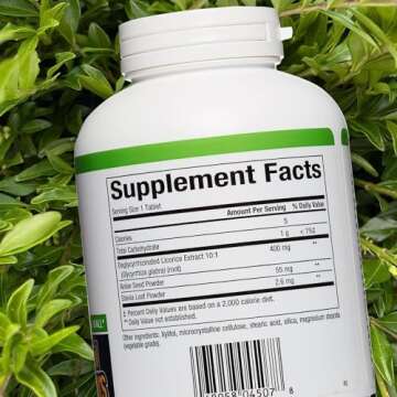 Natural Factors, Chewable DGL 400 mg, Licorice Extract for Healthy Digest, 180 Count (Pack of 1)