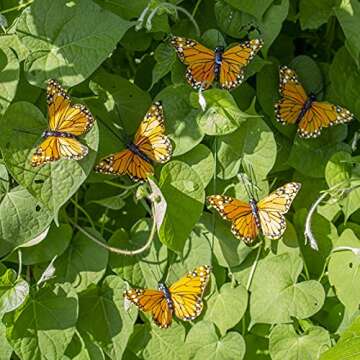 Berfutall- Monarch Butterfly Decor, Feather Butterfly Decorations Set of 12 with Wire, 3", Orange