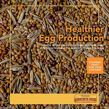 Barenbrug Free Range Chicks Mix Seed, 1 lb for Happy Hens