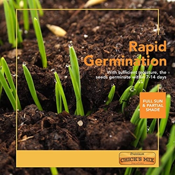 Barenbrug Free Range Chicks Mix Seed, 1 lb for Happy Hens